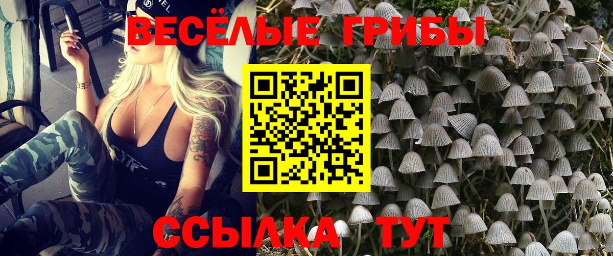 Псилоцибиновые грибы Psilocybine cubensis Коряжма