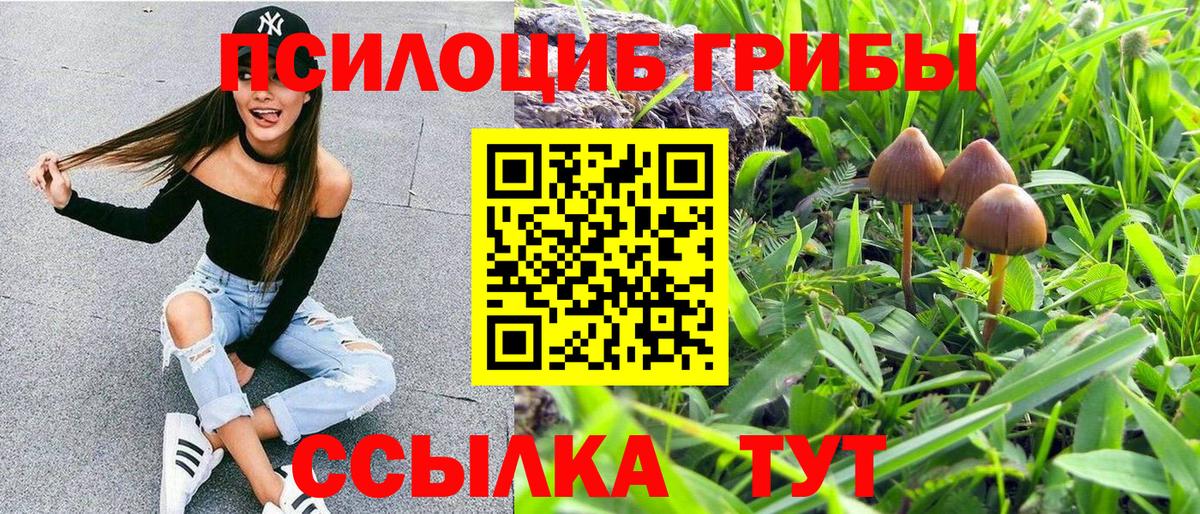 сколько стоит  Вход с VPN  Псилоцибиновые грибы ЛСД  Коряжма  Псилоцибиновые грибы ЛСД 
