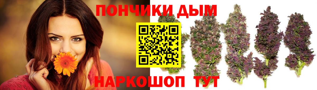 Коряжма  Бошки марихуана Bruce Banner  Канабис гибрид  Марихуана Amnesia  Вход с VPN  Марихуана планчик 